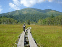 ����͎����B